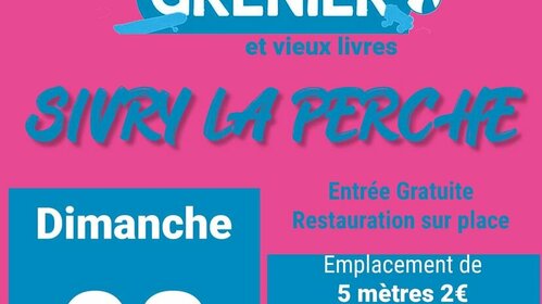 Vide grenier et vieux livres