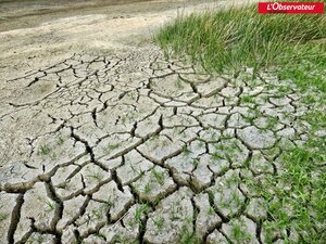 Alerte Renforcée n° 2 sur la réglementation des usages de l'eau en Meuse : 